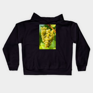 Ripening grapes on the vine Kids Hoodie